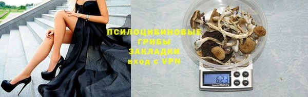 тгк Абаза