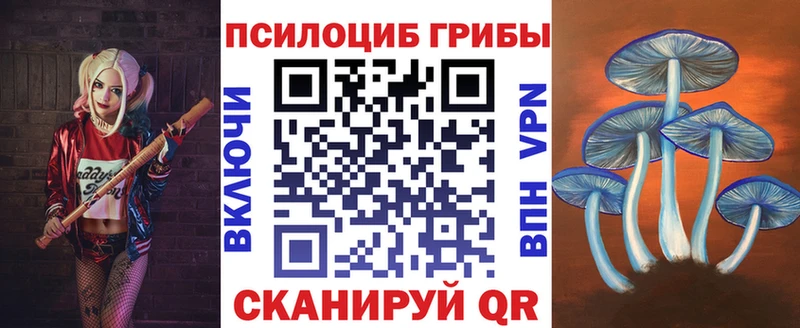 mega ссылки  Псков  Галлюциногенные грибы GOLDEN TEACHER 